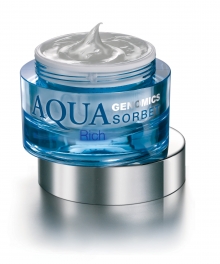 Crema hidratanta destinata tenului normal si uscat - Aqua Sorbet Rich 